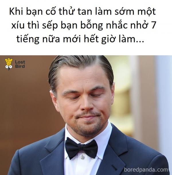 Loạt ảnh không thể đúng hơn về 'mối nhân duyên' giữa sếp và nhân viên Loạt ảnh không thể đúng hơn về 'mối nhân duyên' giữa sếp và nhân viên