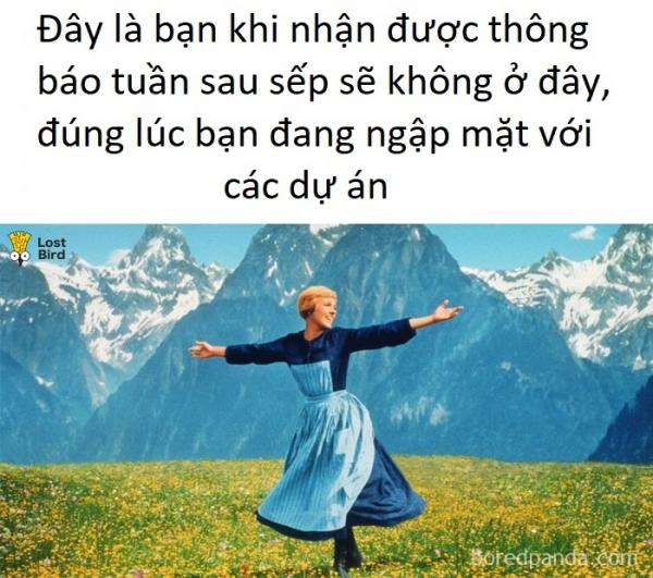 Loạt ảnh không thể đúng hơn về 'mối nhân duyên' giữa sếp và nhân viên Loạt ảnh không thể đúng hơn về 'mối nhân duyên' giữa sếp và nhân viên