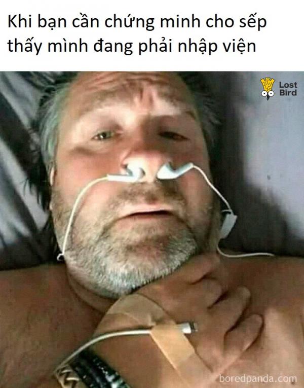 Loạt ảnh không thể đúng hơn về 'mối nhân duyên' giữa sếp và nhân viên Loạt ảnh không thể đúng hơn về 'mối nhân duyên' giữa sếp và nhân viên