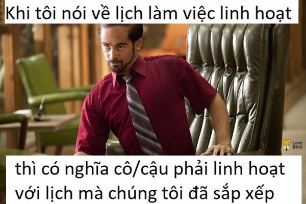 Loạt ảnh không thể đúng hơn về 'mối nhân duyên' giữa sếp và nhân viên Loạt ảnh không thể đúng hơn về 'mối nhân duyên' giữa sếp và nhân viên