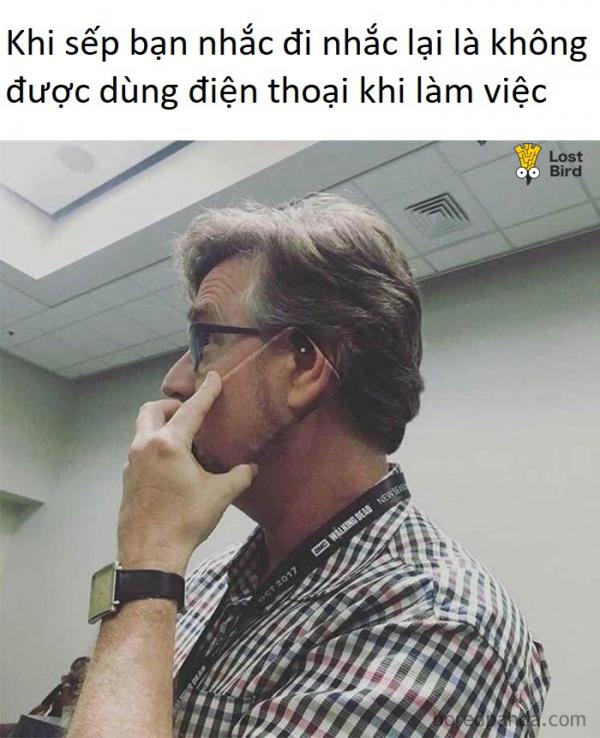 Loạt ảnh không thể đúng hơn về 'mối nhân duyên' giữa sếp và nhân viên Loạt ảnh không thể đúng hơn về 'mối nhân duyên' giữa sếp và nhân viên