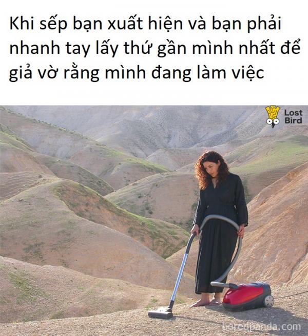 Loạt ảnh không thể đúng hơn về 'mối nhân duyên' giữa sếp và nhân viên Loạt ảnh không thể đúng hơn về 'mối nhân duyên' giữa sếp và nhân viên