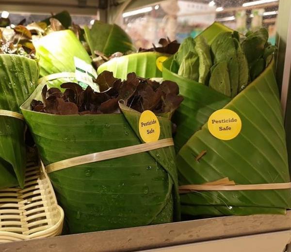 Với 7 công ty này, bảo vệ môi trường còn quan trọng hơn cả lợi nhuận Với 7 công ty này, bảo vệ môi trường còn quan trọng hơn cả lợi nhuận
