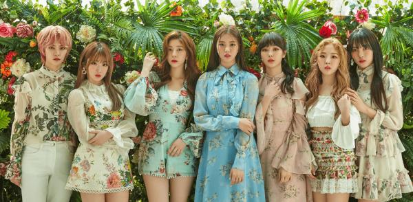 Phim tài liệu về K-Pop của Hà Lan gây tranh cãi khi hỏi thẳng nữ idol 'bạn đã phẫu thuật thẩm mỹ à?' Phim tài liệu về K-Pop của Hà Lan gây tranh cãi khi hỏi thẳng nữ idol 'bạn đã phẫu thuật thẩm mỹ à?'