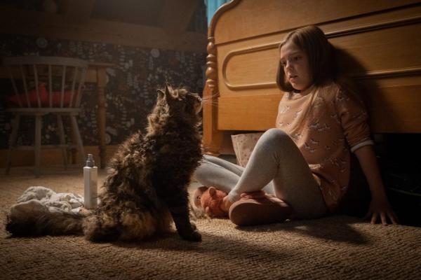 'Pet Sematary' phiên bản đời thật: Sau khi an táng chú chó sống lại và tự tìm đường về nhà 'Pet Sematary' phiên bản đời thật: Sau khi an táng chú chó sống lại và tự tìm đường về nhà