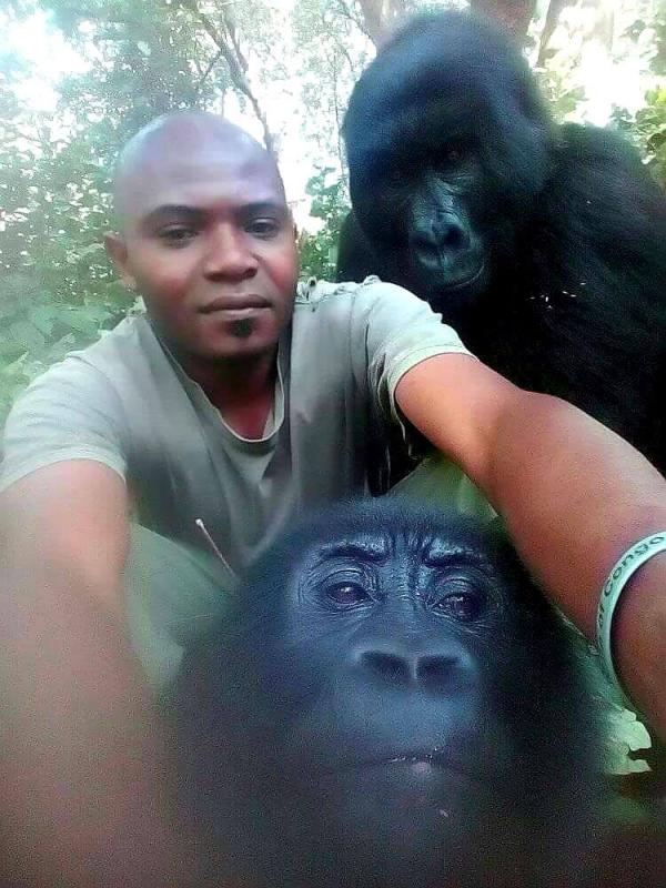 Khỉ đột tạo dáng selfie chuyên nghiệp cùng các anh kiểm lâm Khỉ đột tạo dáng selfie chuyên nghiệp cùng các anh kiểm lâm