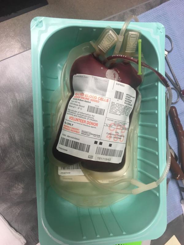 Hành trình đi hiến máu của anh gâu đần Milo: đến chó cũng có thể trở thành anh hùng Hành trình đi hiến máu của anh gâu đần Milo: đến chó cũng có thể trở thành anh hùng
