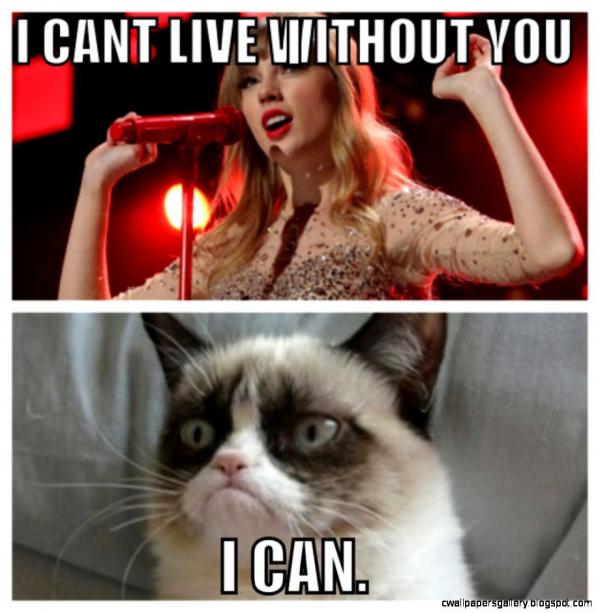 Cùng ngồi xuống uống chén trà và bàn về các 'Easter Eggs' cất giấu trong MV mới của Taylor Swift Cùng ngồi xuống uống chén trà và bàn về các 'Easter Eggs' cất giấu trong MV mới của Taylor Swift