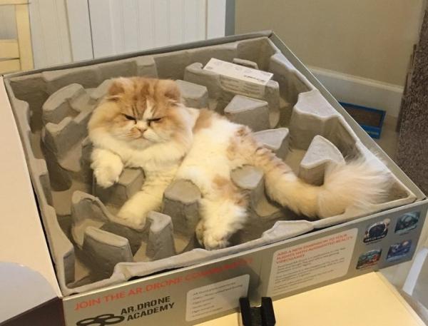 22 hình ảnh ‘boss trong hộp’ sẽ khiến cơ thể bạn lập tức bật ON chế độ ‘hạnh phúc’ 22 hình ảnh ‘boss trong hộp’ sẽ khiến cơ thể bạn lập tức bật ON chế độ ‘hạnh phúc’