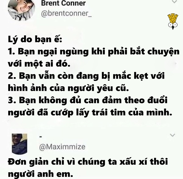 Cuộc sống của những kẻ tự ti cũng lắm chuyện dở khóc dở cười Cuộc sống của những kẻ tự ti cũng lắm chuyện dở khóc dở cười