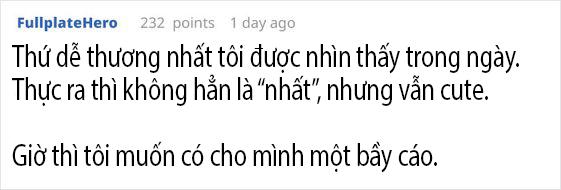 May mắn để đâu cho hết khi được một đàn cáo con dễ thương thế này ghé thăm nhà? May mắn để đâu cho hết khi được một đàn cáo con dễ thương thế này ghé thăm nhà?