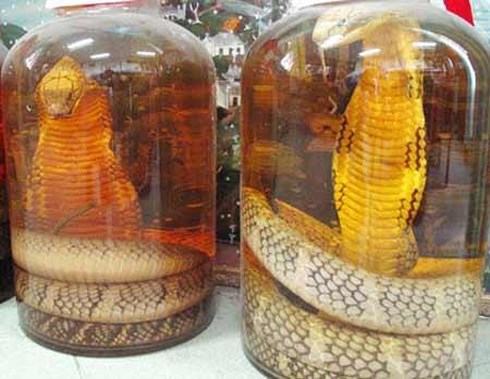 Những điều điên rồ mà du khách nước ngoài nên trải nghiệm khi đến Việt Nam Những điều điên rồ mà du khách nước ngoài nên trải nghiệm khi đến Việt Nam