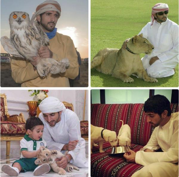 Khoe ảnh đang ở Seoul, thái tử đẹp nhất Dubai khiến hội chị em xứ Hàn nháo nhào truy tìm tung tích Khoe ảnh đang ở Seoul, thái tử đẹp nhất Dubai khiến hội chị em xứ Hàn nháo nhào truy tìm tung tích
