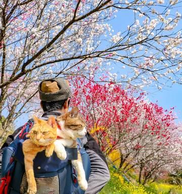 Đồ mới rồi sẽ cũ, chỉ có ký ức đẹp khi đi du lịch sẽ không bao giờ lỗi thời Đồ mới rồi sẽ cũ, chỉ có ký ức đẹp khi đi du lịch sẽ không bao giờ lỗi thời