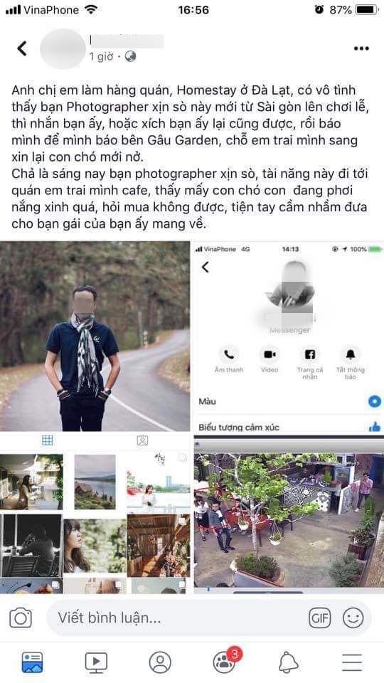 Lên Đà Lạt chơi ngày lễ, hai khách du lịch 'tiện tay' ẵm chó corgi 25 ngày tuổi của quán cà phê đi mất Lên Đà Lạt chơi ngày lễ, hai khách du lịch 'tiện tay' ẵm chó corgi 25 ngày tuổi của quán cà phê đi mất