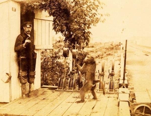11 câu chuyện ngớ ngẩn nhưng lại có thực 11 câu chuyện ngớ ngẩn nhưng lại có thực