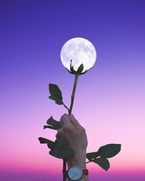 Hè ai cũng đi du lịch, vậy phải chụp sáng tạo cỡ nào để ảnh của bạn nhiều like nhất? Hè ai cũng đi du lịch, vậy phải chụp sáng tạo cỡ nào để ảnh của bạn nhiều like nhất?