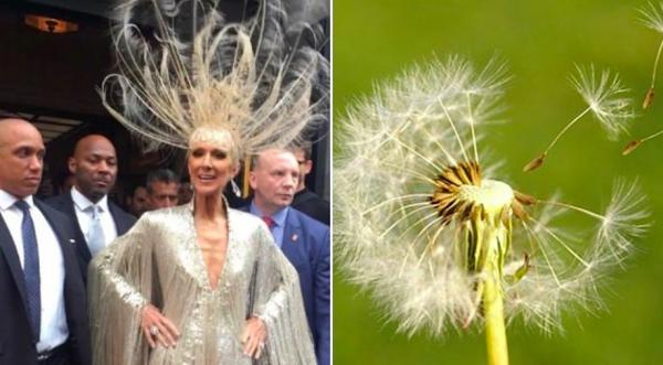 Bạn đã sẵn sàng cho loạt ảnh chế tới từ Met Gala 2019 chưa? Bạn đã sẵn sàng cho loạt ảnh chế tới từ Met Gala 2019 chưa?