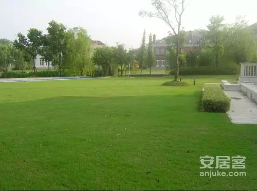 Gia thế siêu khủng của 'bạn gái tin đồn' Dương Dương: Nhà rộng đến nỗi đậu được cả máy bay Gia thế siêu khủng của 'bạn gái tin đồn' Dương Dương: Nhà rộng đến nỗi đậu được cả máy bay