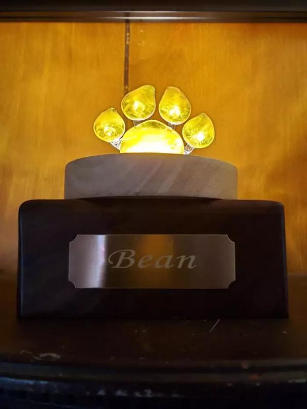 Giờ đây các 'sen' có thể hoá tro cốt của thú cưng thành đá thuỷ tinh để giữ làm kỷ niệm mãi mãi Giờ đây các 'sen' có thể hoá tro cốt của thú cưng thành đá thuỷ tinh để giữ làm kỷ niệm mãi mãi