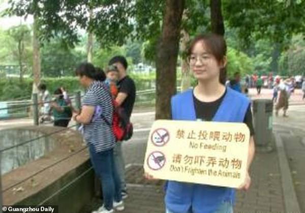 Gấu mèo tại sở thú Trung Quốc bị béo phì và giảm khả năng sinh sản vì du khách cho chúng ăn quá nhiều Gấu mèo tại sở thú Trung Quốc bị béo phì và giảm khả năng sinh sản vì du khách cho chúng ăn quá nhiều