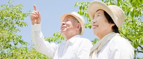 Khám phá nhiều ẩn số thú vị từ chế độ ăn độc đáo của người Okinawa Khám phá nhiều ẩn số thú vị từ chế độ ăn độc đáo của người Okinawa
