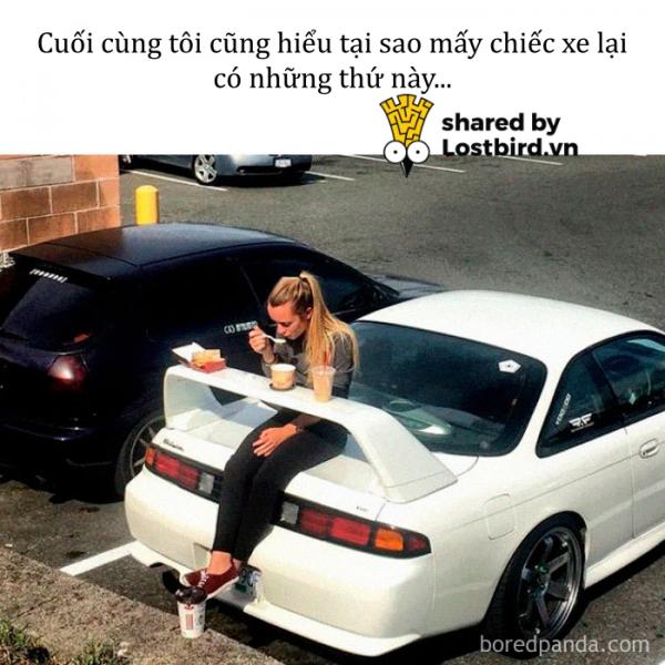 Kho ảnh bất tận ngập tràn tiếng cười về đồ ăn Kho ảnh bất tận ngập tràn tiếng cười về đồ ăn