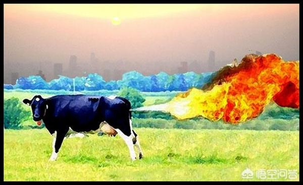 10 loài động vật 'ở dơ' nhất thế giới 10 loài động vật 'ở dơ' nhất thế giới