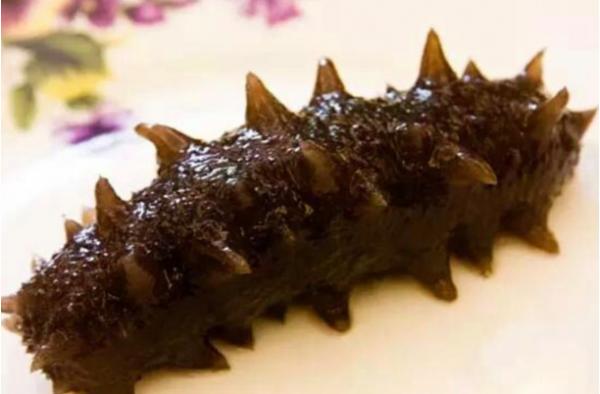 10 loài động vật 'ở dơ' nhất thế giới 10 loài động vật 'ở dơ' nhất thế giới