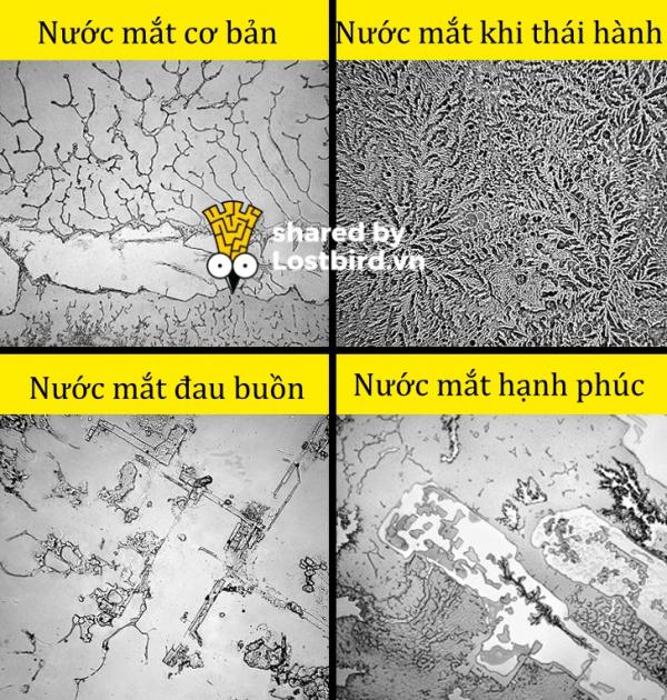 8 điều tuyệt vời chứng minh cơ thể chúng ta là hệ thống hoàn hảo nhất thế giới 8 điều tuyệt vời chứng minh cơ thể chúng ta là hệ thống hoàn hảo nhất thế giới