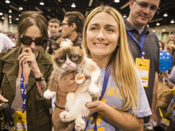 Cô mèo cau có Grumpy nổi tiếng thế giới đã qua đời vì mắc bệnh nặng Cô mèo cau có Grumpy nổi tiếng thế giới đã qua đời vì mắc bệnh nặng