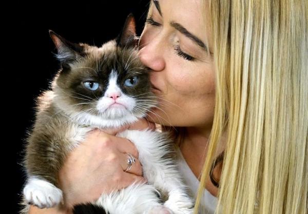 Cô mèo cau có Grumpy nổi tiếng thế giới đã qua đời vì mắc bệnh nặng Cô mèo cau có Grumpy nổi tiếng thế giới đã qua đời vì mắc bệnh nặng
