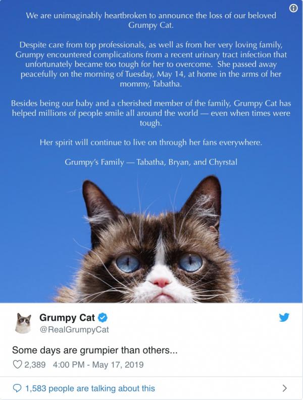 Cô mèo cau có Grumpy nổi tiếng thế giới đã qua đời vì mắc bệnh nặng Cô mèo cau có Grumpy nổi tiếng thế giới đã qua đời vì mắc bệnh nặng