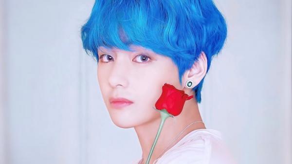 Hai fanfom Đại lục của BTS Jungkook và V 'chạy đua' xem ai mua nhiều album cho idol nhất Hai fanfom Đại lục của BTS Jungkook và V 'chạy đua' xem ai mua nhiều album cho idol nhất