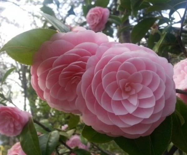 25 bức ảnh đời thường làm bừng sáng một ngày của người theo chủ nghĩa hoàn hảo 25 bức ảnh đời thường làm bừng sáng một ngày của người theo chủ nghĩa hoàn hảo