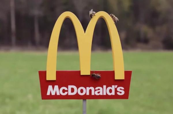 McDonald's khai trương cửa hàng nhỏ nhất thế giới dành cho ong? McDonald's khai trương cửa hàng nhỏ nhất thế giới dành cho ong?