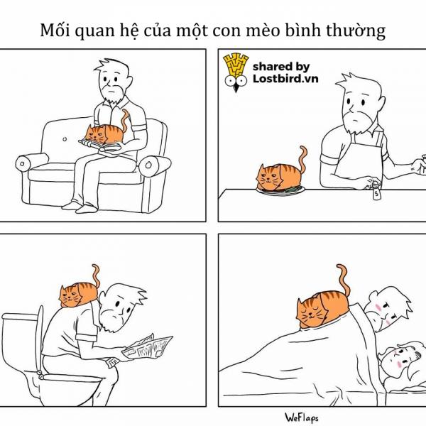 Mời các bạn đến với series phim ăn khách nhất mọi thời đại: 'Sống Chung Với Mèo' Mời các bạn đến với series phim ăn khách nhất mọi thời đại: 'Sống Chung Với Mèo'