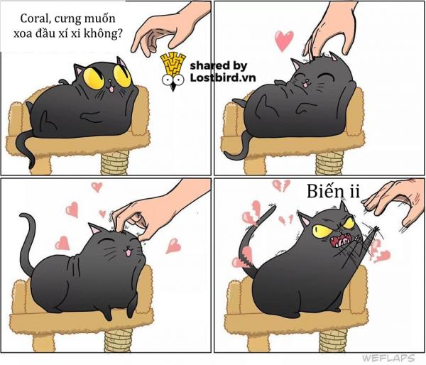 Mời các bạn đến với series phim ăn khách nhất mọi thời đại: 'Sống Chung Với Mèo' Mời các bạn đến với series phim ăn khách nhất mọi thời đại: 'Sống Chung Với Mèo'