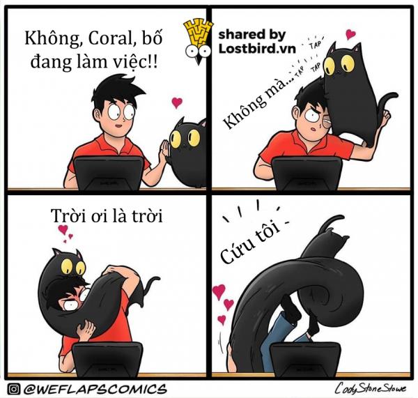 Mời các bạn đến với series phim ăn khách nhất mọi thời đại: 'Sống Chung Với Mèo' Mời các bạn đến với series phim ăn khách nhất mọi thời đại: 'Sống Chung Với Mèo'