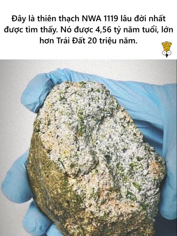 'Mở mang tầm mắt' với những điều thú vị mà bạn ước rằng mình nên biết sớm hơn 'Mở mang tầm mắt' với những điều thú vị mà bạn ước rằng mình nên biết sớm hơn