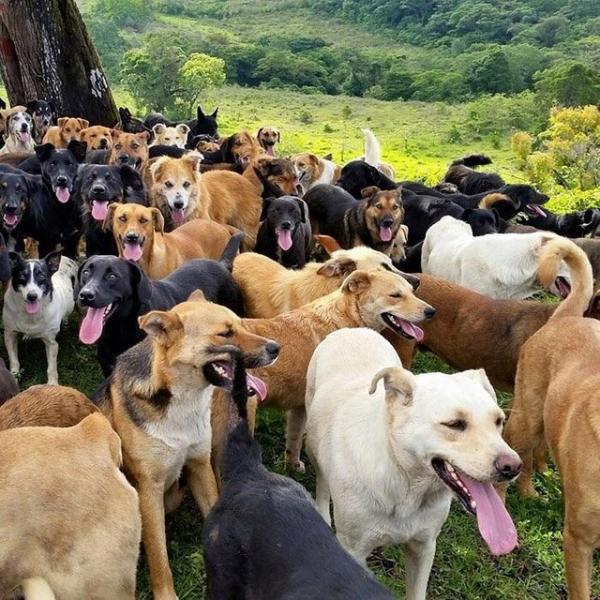 'Mở mang tầm mắt' với những điều thú vị mà bạn ước rằng mình nên biết sớm hơn 'Mở mang tầm mắt' với những điều thú vị mà bạn ước rằng mình nên biết sớm hơn