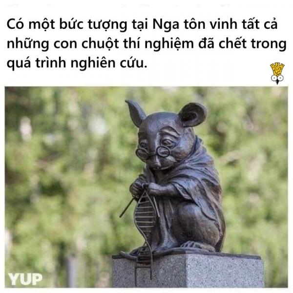 'Mở mang tầm mắt' với những điều thú vị mà bạn ước rằng mình nên biết sớm hơn 'Mở mang tầm mắt' với những điều thú vị mà bạn ước rằng mình nên biết sớm hơn