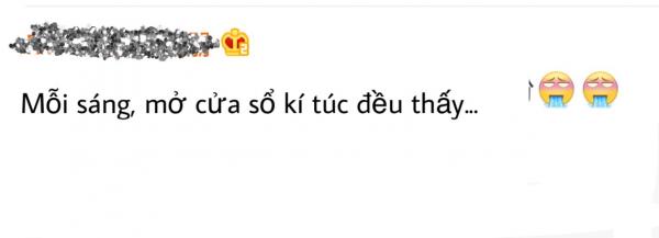 Chiến dịch trồng cây xanh của trường học Trung Quốc khiến nhiều người cười ra nước mắt Chiến dịch trồng cây xanh của trường học Trung Quốc khiến nhiều người cười ra nước mắt
