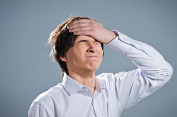 Nghiên cứu chứng minh những người 'não cá vàng' thường có trí thông minh vượt trội Nghiên cứu chứng minh những người 'não cá vàng' thường có trí thông minh vượt trội