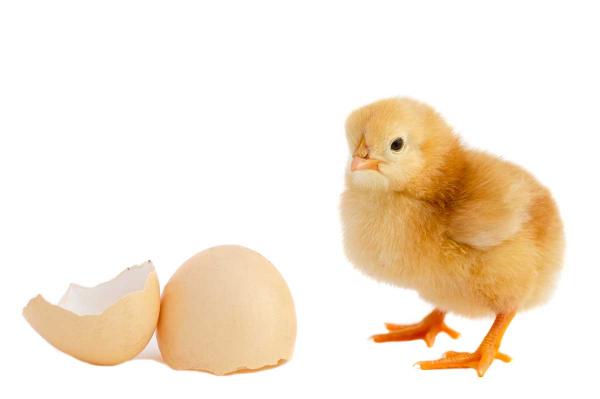 Lời giải đáp cho 10 câu hỏi muôn thuở (P.1) Lời giải đáp cho 10 câu hỏi muôn thuở (P.1)