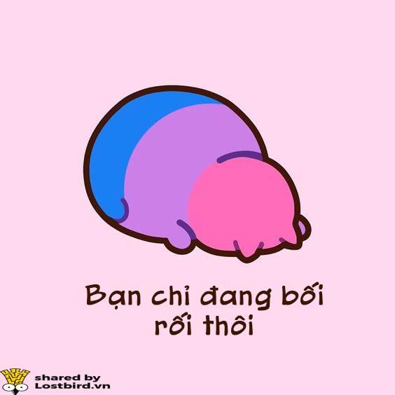 Những hiểu lầm thường gặp về người song tính Những hiểu lầm thường gặp về người song tính