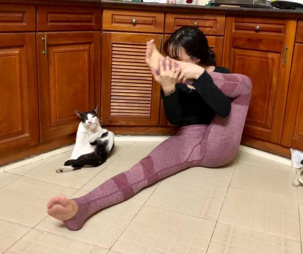 Cười đau bụng với cảnh chú mèo đua đòi tập yoga theo chủ và lại còn tập rất chuẩn Cười đau bụng với cảnh chú mèo đua đòi tập yoga theo chủ và lại còn tập rất chuẩn