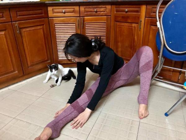 Cười đau bụng với cảnh chú mèo đua đòi tập yoga theo chủ và lại còn tập rất chuẩn Cười đau bụng với cảnh chú mèo đua đòi tập yoga theo chủ và lại còn tập rất chuẩn