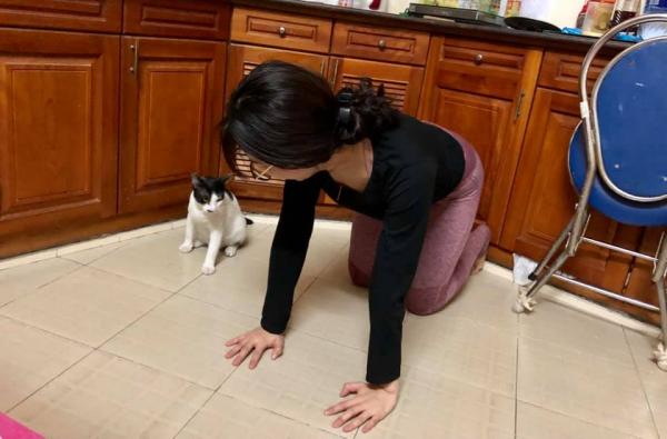 Cười đau bụng với cảnh chú mèo đua đòi tập yoga theo chủ và lại còn tập rất chuẩn Cười đau bụng với cảnh chú mèo đua đòi tập yoga theo chủ và lại còn tập rất chuẩn