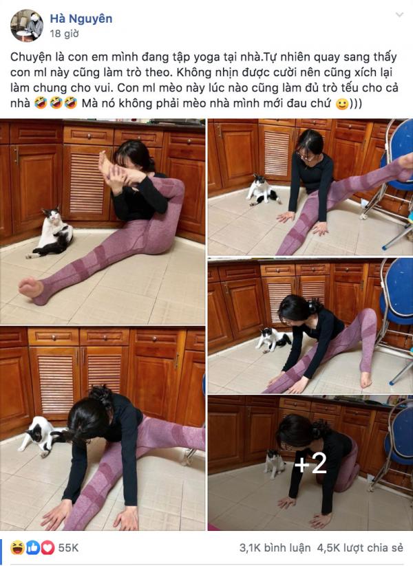 Cười đau bụng với cảnh chú mèo đua đòi tập yoga theo chủ và lại còn tập rất chuẩn Cười đau bụng với cảnh chú mèo đua đòi tập yoga theo chủ và lại còn tập rất chuẩn